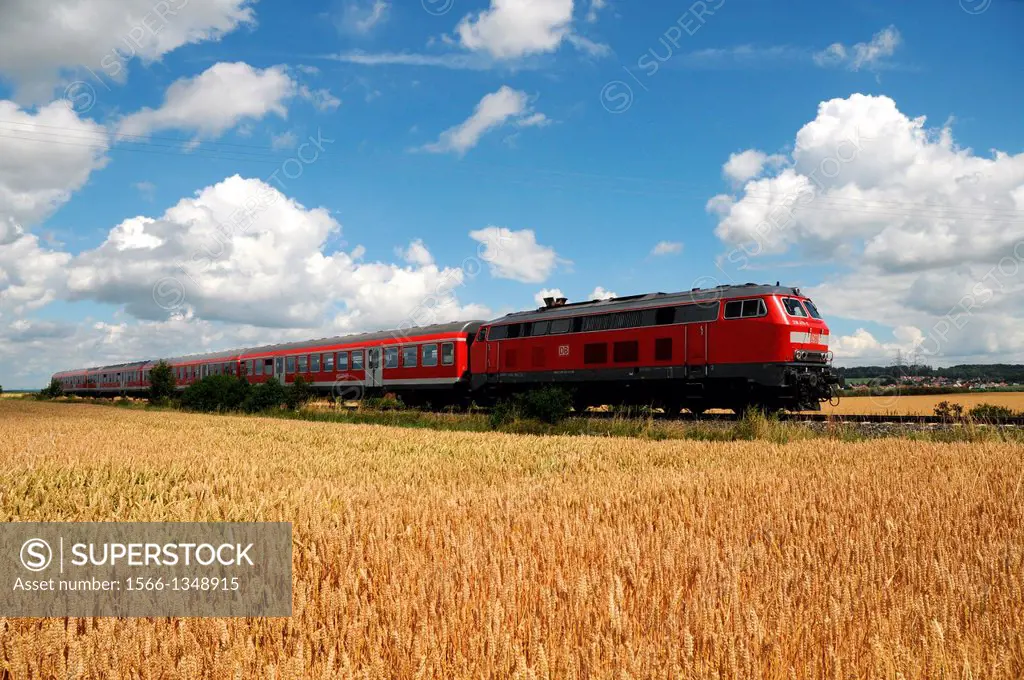 Commuter train in a wheat field