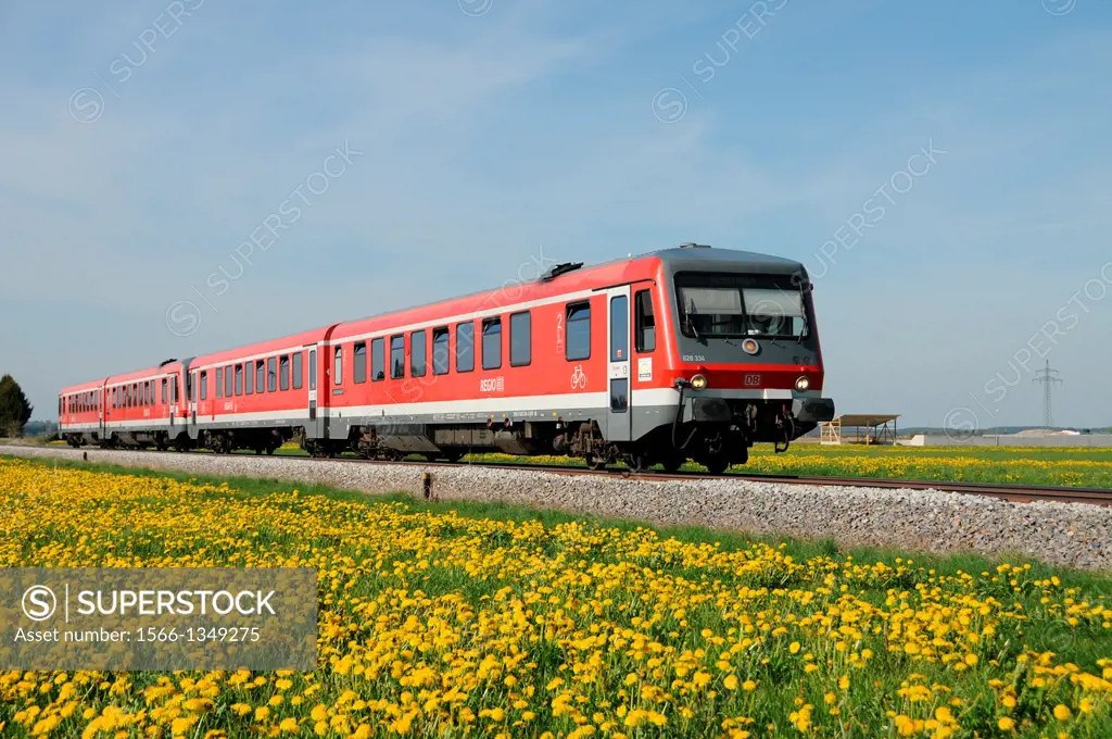 Local train of Deutsche Bahn AG to a flowering dandelion meadow near Memmingen