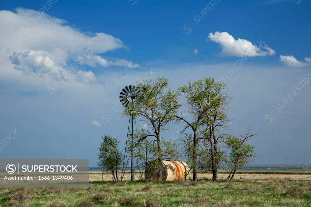 Windmill with tree stand, Pawnee National Grassland, Pawnee Pioneer Trails Scenic and Historic Byway, Colorado.