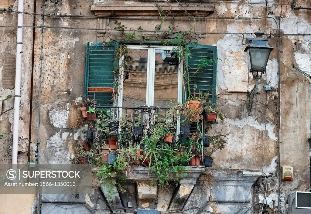 Window in Palermo, Sicily, Italy