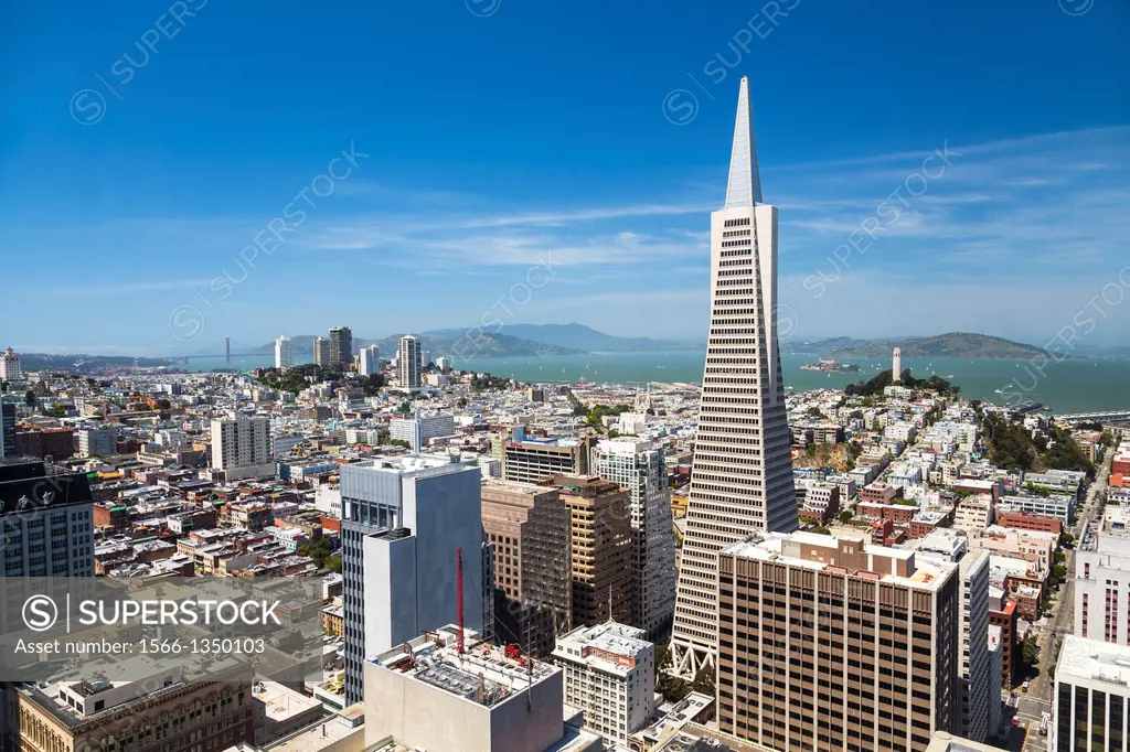 San Francisco skyline with Transamerica Pyramid, California, USA