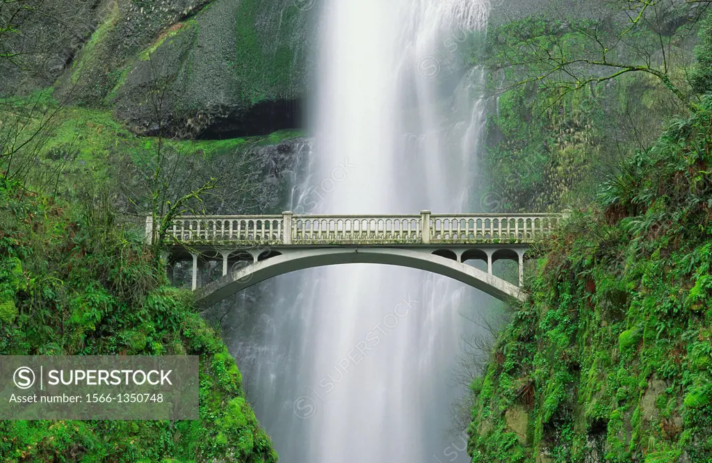 Multnomah Falls and bridge, Mount Hood National Forest, Columbia Gorge National Scenic Area, Oregon USA.