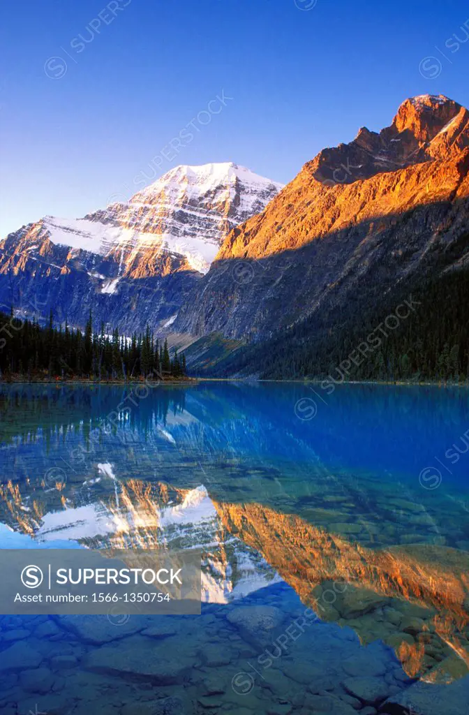 Dawn light on Mount Edith Cavell reflected in Cavell Lake, Jasper National Park, Alberta, Canada.