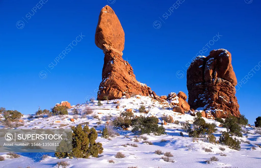 Afternoon light on juniper under Balanced Rock in winter, Arches National Park, Utah USA.