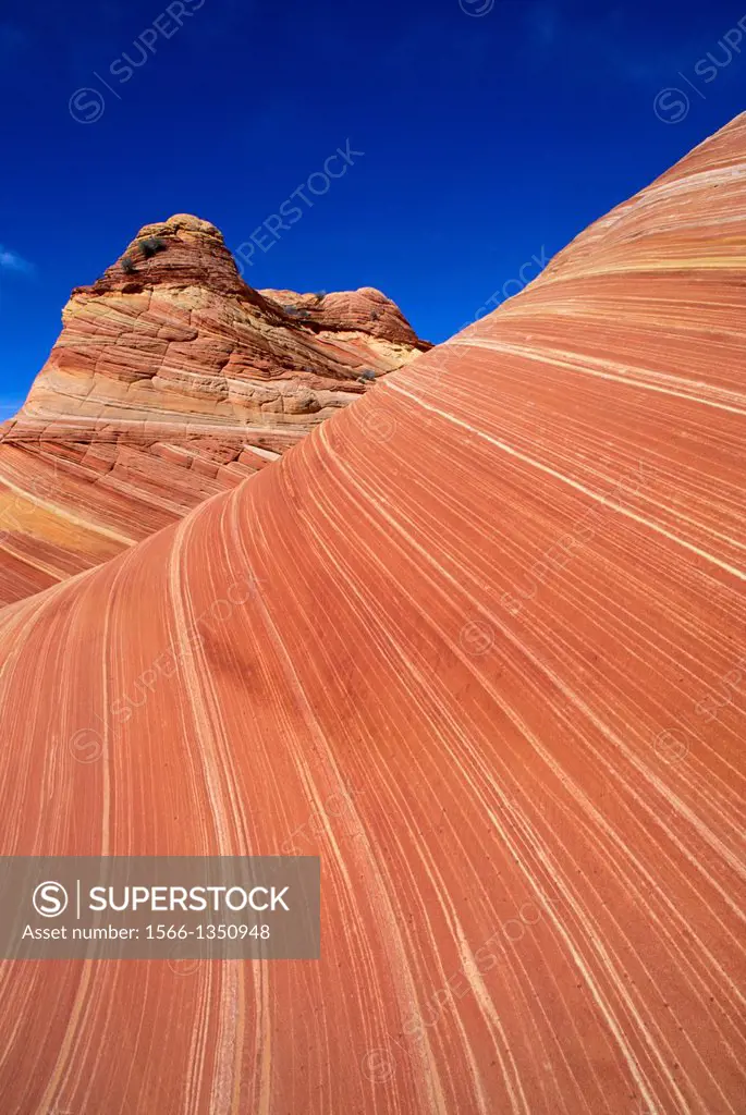 Swirling sandstone formation known as The Wave, Coyote Buttes, Paria Canyon-Vermilion Cliffs Wilderness, Arizona USA.