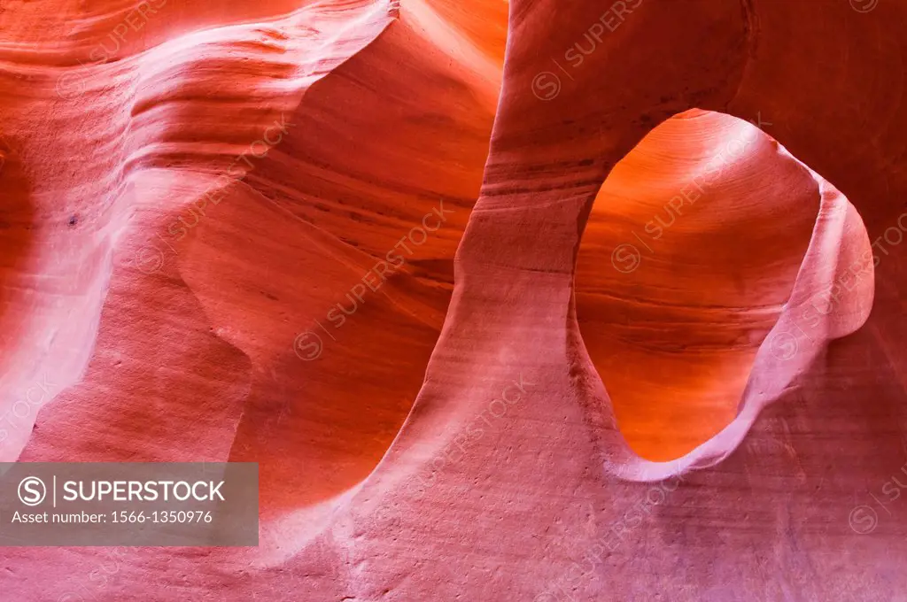 Sandstone formations in Peek-a-boo Gulch, Grand Staircase-Escalante National Monument, Utah USA.