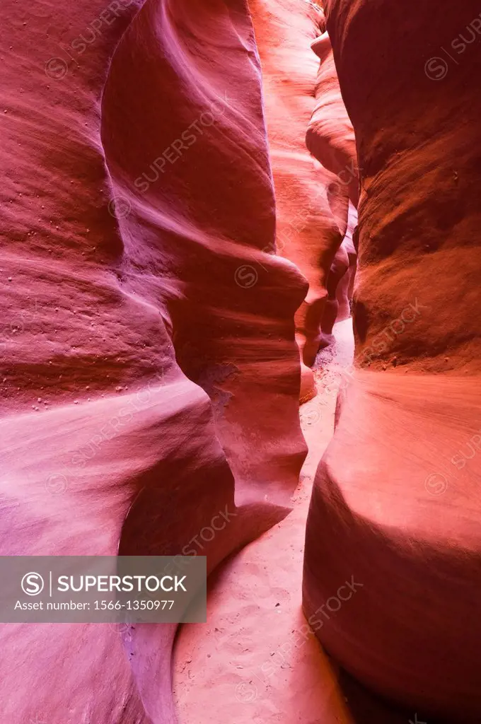 Slot canyon in Spooky Gulch, Grand Staircase-Escalante National Monument, Utah USA.
