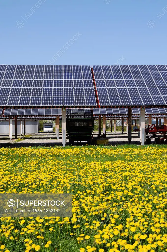 Solar power plant on a blossoming meadow