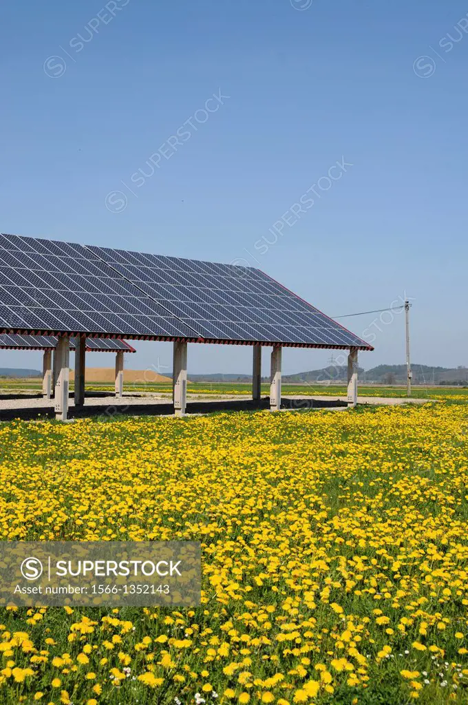 Solar power plant on a blossoming meadow