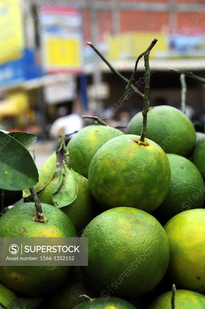 Fresh limes on a market in Battambang