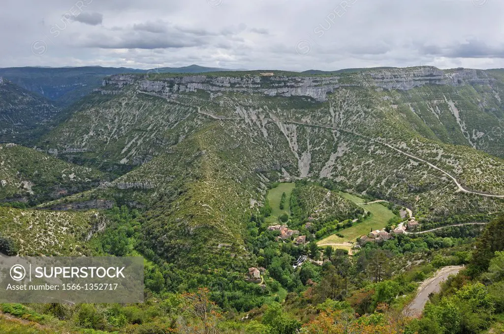 Cirque de Navacelles, a large erosional landform, an incised meander of the Vis River, located towards the southern edge of the Massif Central mountai...