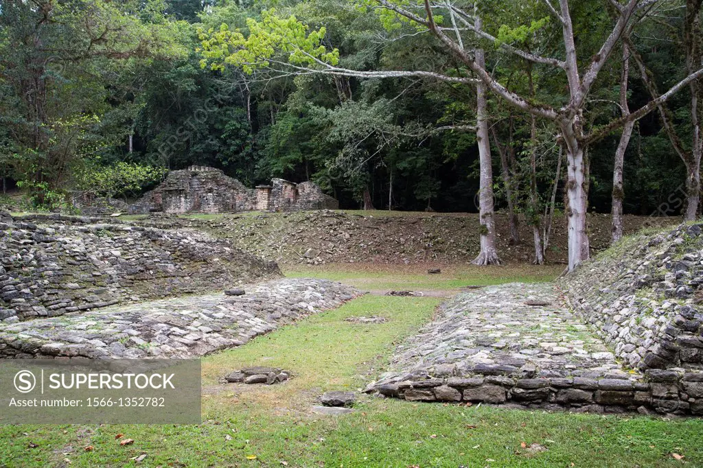 Mexico, Chiapas, Yaxchilan Archaeological Zone, Juego de Pelota (ball court).