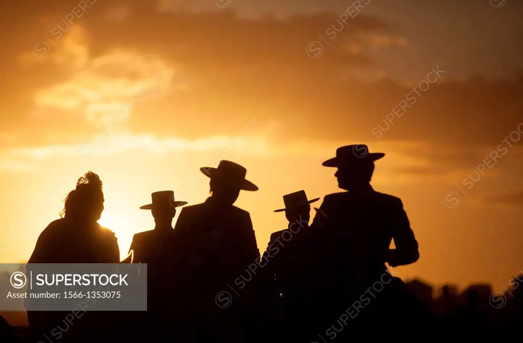 Pilgrims wearing Spanish hats ride their horses at sunset during the pilgrimage to the shrine of the Virgin of Rocio, in Almonte, Donana National Park...