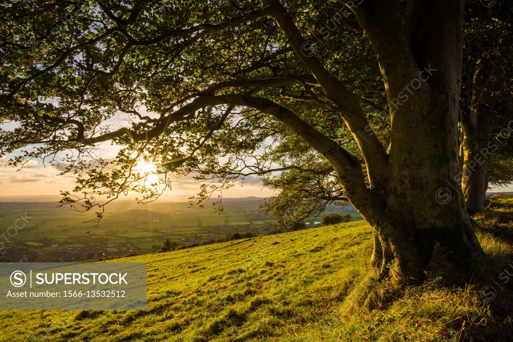 Autumn sunset at Draycott Sleights in the Mendip Hills. Somerset. England.