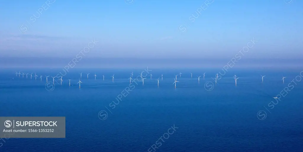 Dutch windmills in the North Sea.