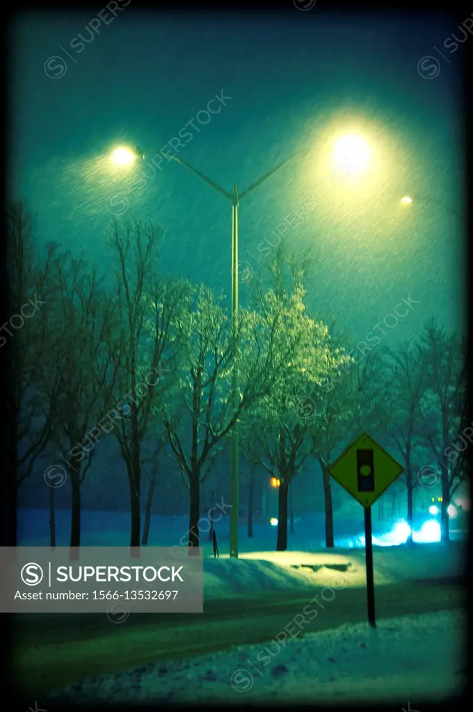 Snow falling on a deserted street at night in Toronto suburbs.