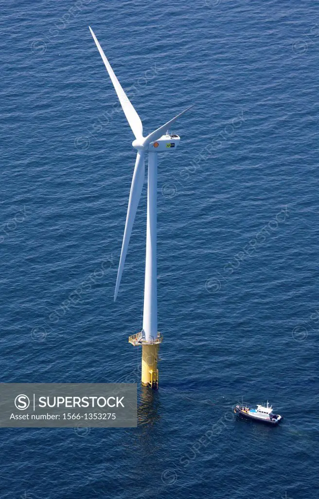 Dutch windmills in the North Sea.