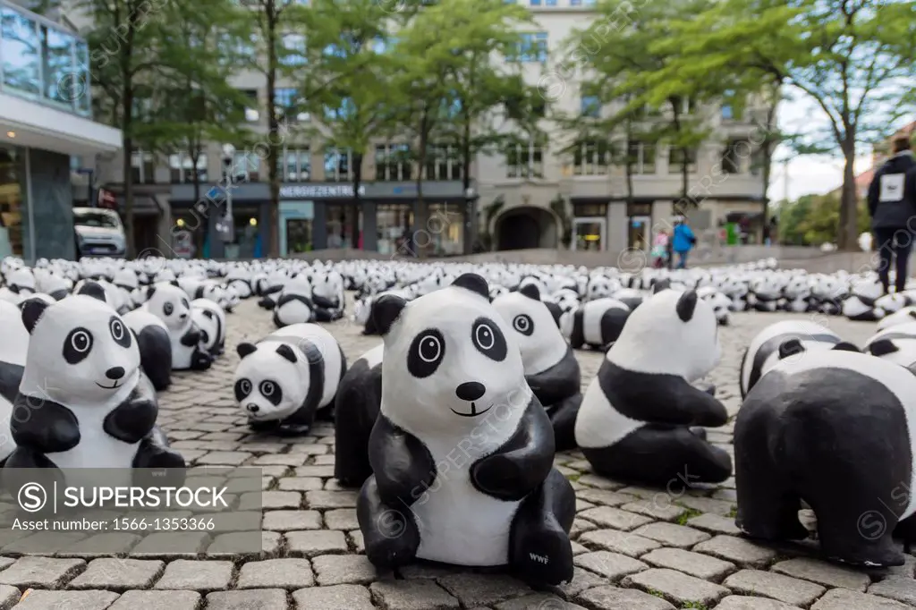 The WWF draws attention to the endangered giant panda with an action in the city of Kiel.