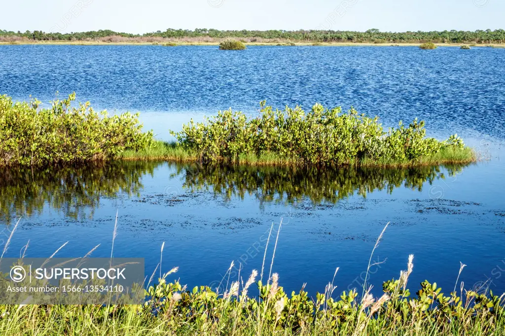 Florida, Merritt Island, Merritt Island National Wildlife Refuge, Black Point Wildlife Drive, water, scenery,
