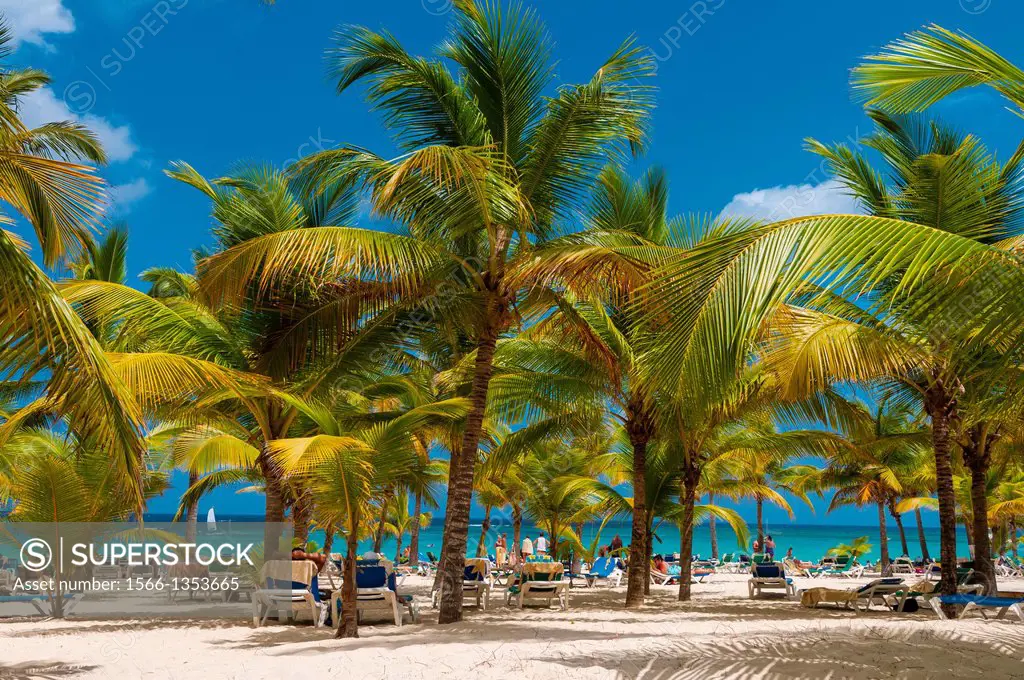 beach; Riu Palace; hotel; Punta Cana; Dominican Republic; Caribbean.