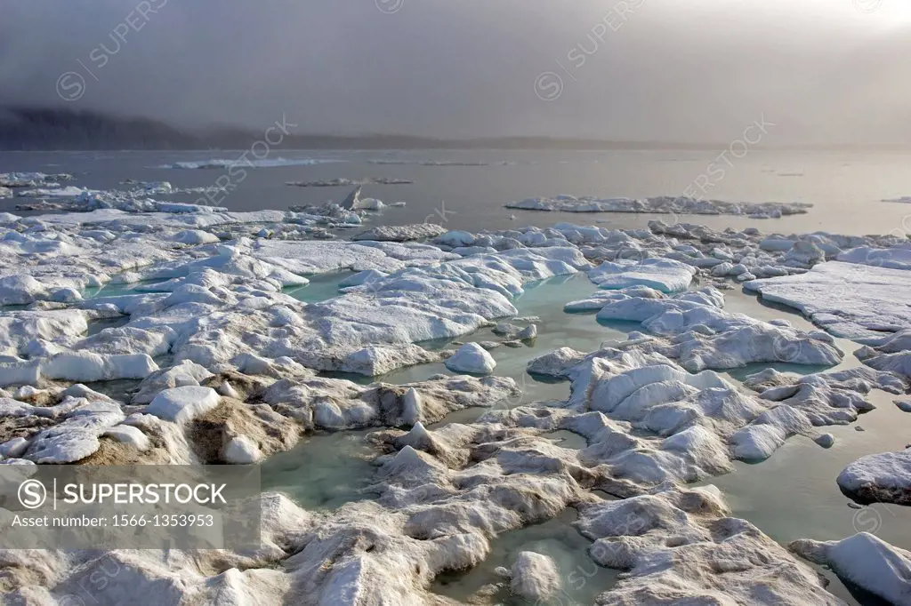Russia , Chukotka autonomous district , Herald island north east of Wrangel island, pack ice.