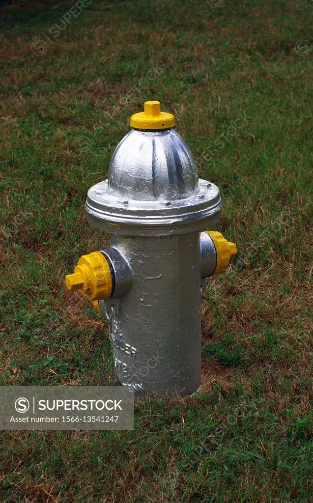 hydrant in a public park.