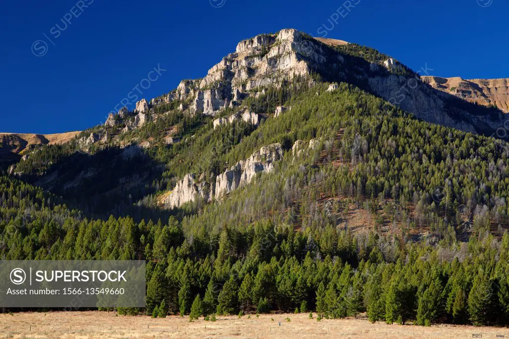 Taylor Mountain in Centennial Mountains, Red Rock Lakes National Wildlife Refuge, Montana.