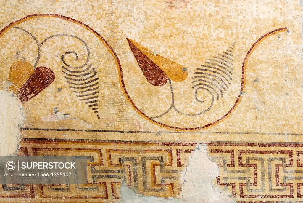 Mosaics, Moses Memorial Church, Mount Nebo, East Bank Plateau, Jordan, Middle East.