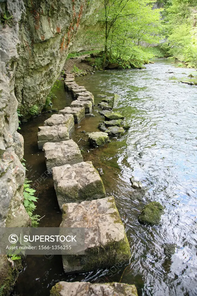 Limestone stepping stones on the River Wye at Chee Dale, Derbyshire Peak District National Park, England, UK.