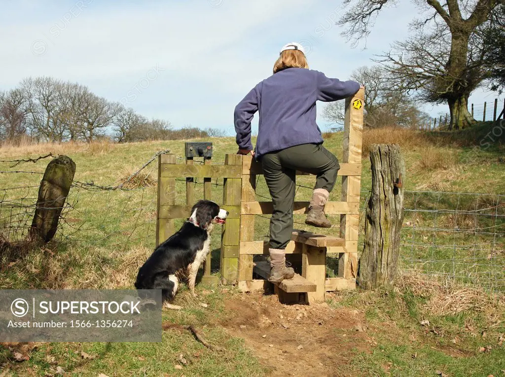 A woman dog walker crossing a stile with her dog going through a dog gate at the side of the stile.