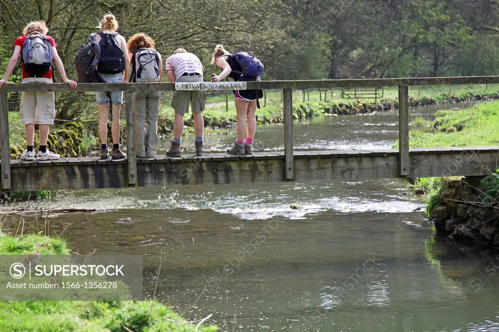 Young children playing Pooh Sticks on the River Dove, Wolfscote Dale, Peak District National Park, England, UK.