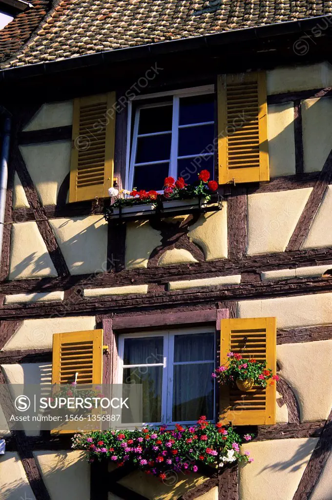 FRANCE, COLMAR, HALFTIMBERED HOUSE, WINDOWS WITH FLOWERS.