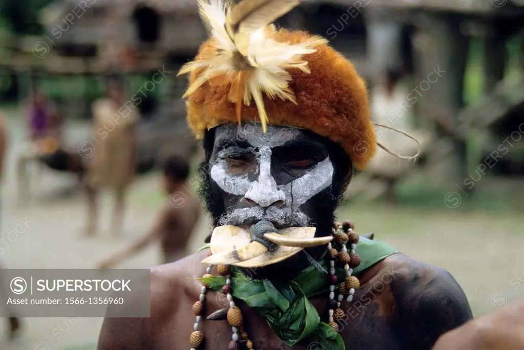 NEW GUINEA, SEPIK RIVER, PORTRAIT OF PRIMITIVE MAN WITH HEADRESS AND PIG TUSK MOUTHPIECE.