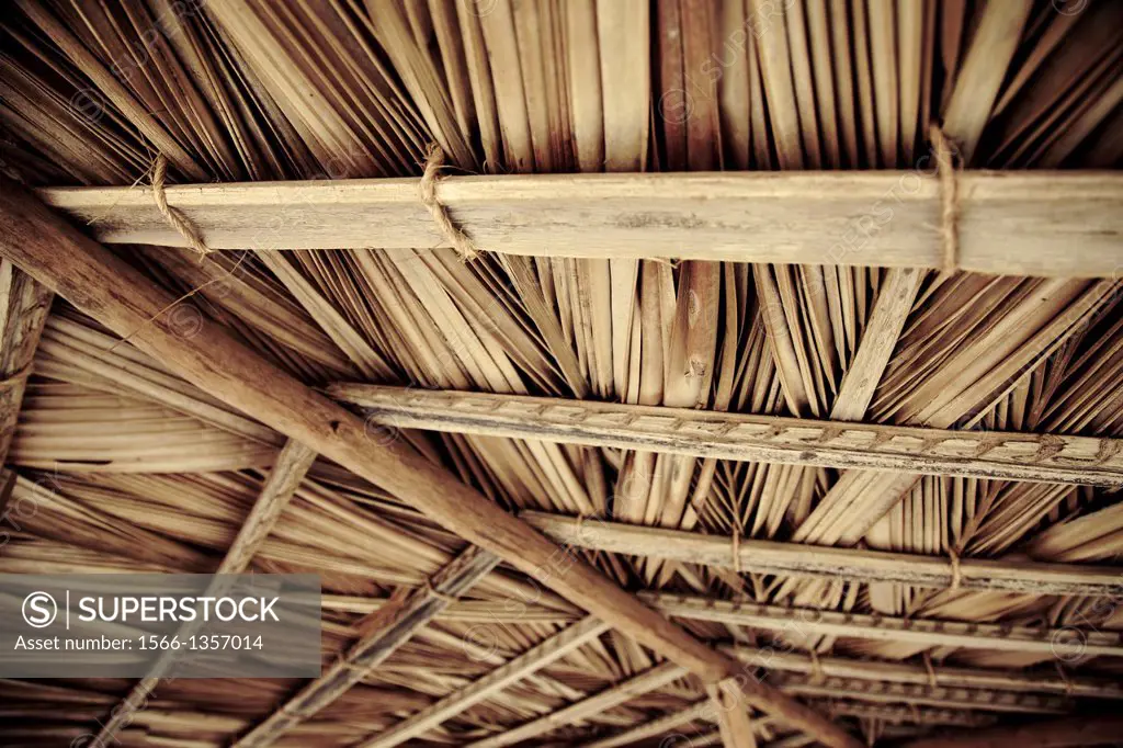 dried palm tree leaves palapa roof and beams view from under.