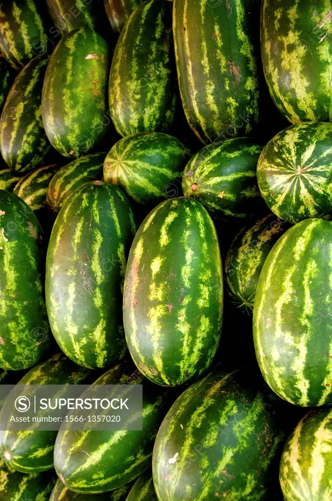 Many big sweet green watermelons and one cut watermelon.
