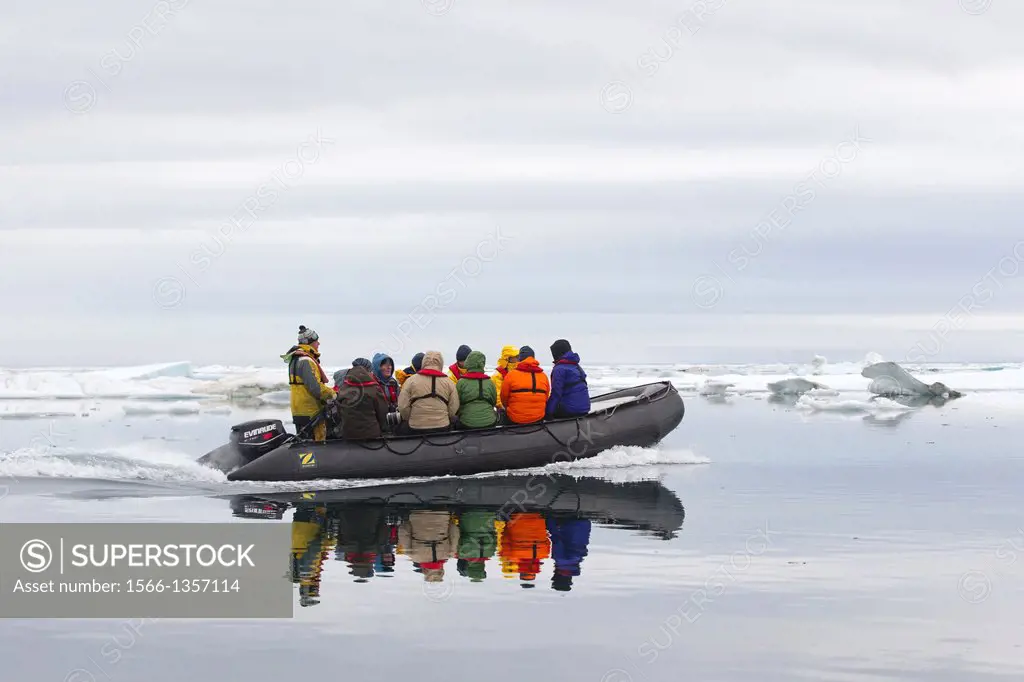Russia, Chukotka autonomous district, Wrangel island, Pack ice, photographers on board of zodiacs.