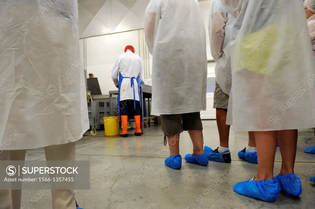 visitors wearing sanitary clothes at Kerbriant fish and seafood canning factory, Douarnenez, Finistere department, Brittany region, west of France, we...