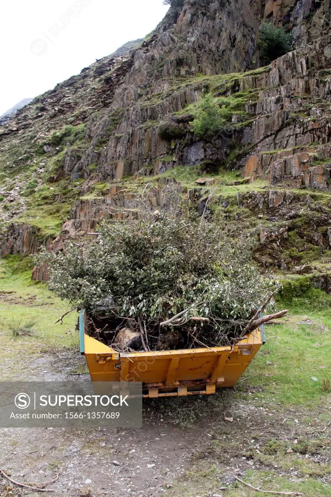 a skip full of tree branches in wales, great britain, uk1015