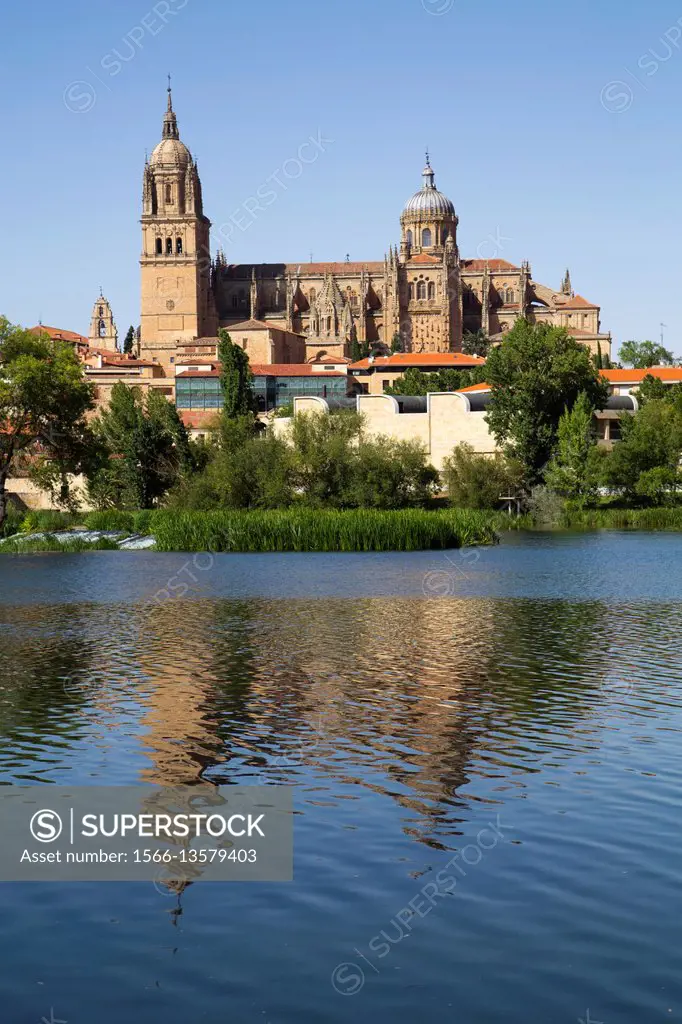 Cathedral of Salamanca, Salamanca, UNESCO World Heritage Site, Spain
