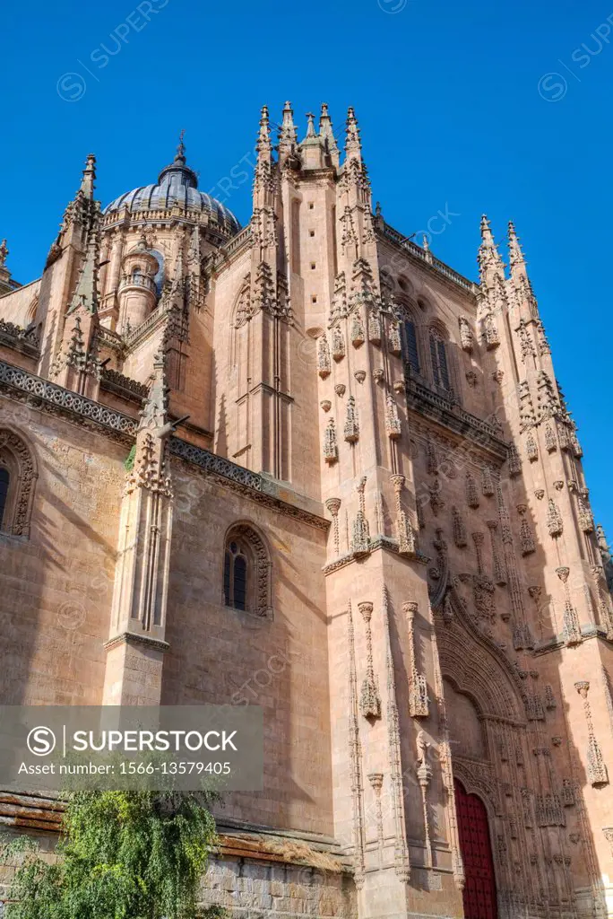 Cathedral of Salamanca, Salamanca, UNESCO World Heritage Site, Spain