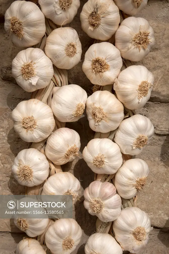 Garlic Hanging from a Stone Wall.