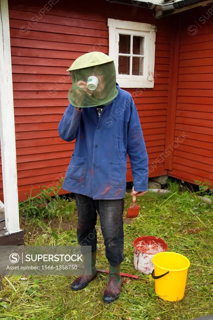 Drinking coffee with moscito hat, painting the Summer cottage north of Sweden