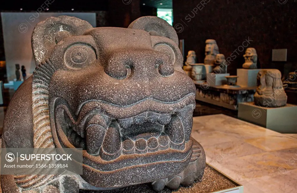 Océlotl or jaguar, and Cuauhxicalli, National Museum of Anthropology. Mexico City. Mexico.