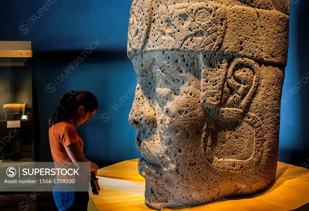Olmec Giant Head, National Museum of Anthropology. Mexico City. Mexico.