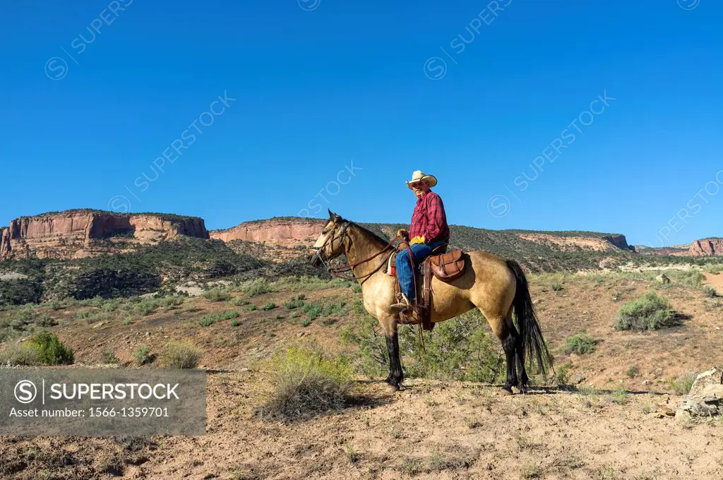 Modern day cowboy on horseback riding his horse in the desert near the Colorado National Monument, Colorado, USA.