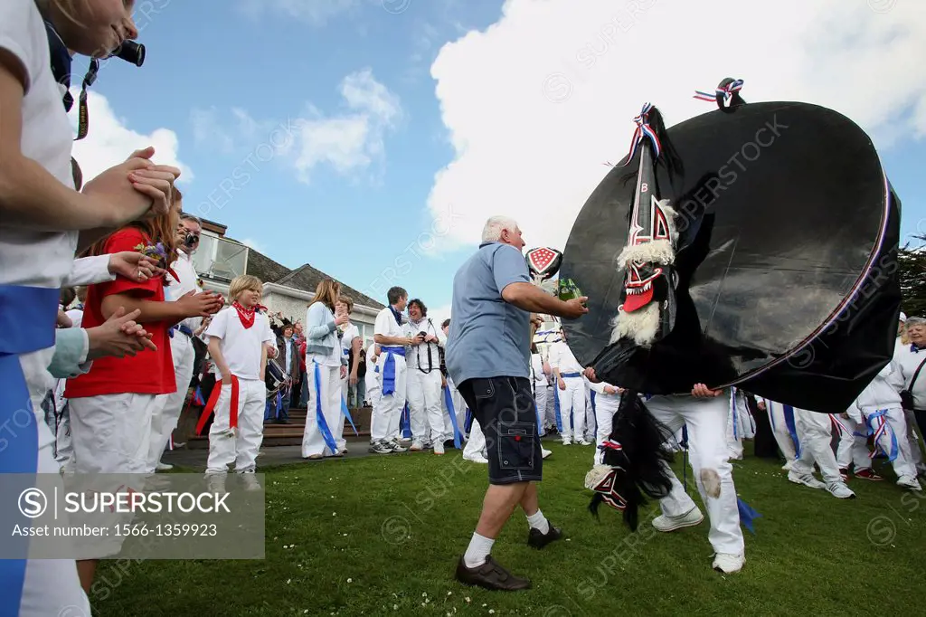 Teazer dances with the Red Oss-Padstow-Obby Oss-Cornwall-UK.