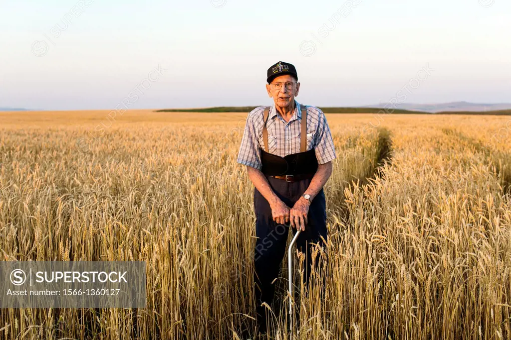 a man, 91, stands in a wheat field near Pincher Creek, Alberta, Canada.