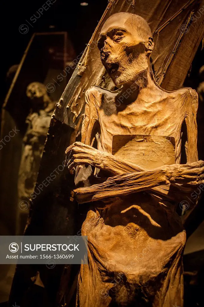 Museum of the Mummies, Guanajuato, state Guanajuato, Mexico.
