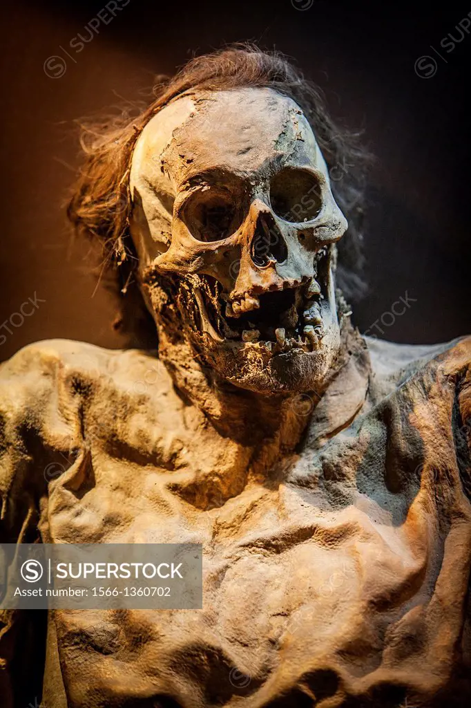 Museum of the Mummies, Guanajuato, state Guanajuato, Mexico.