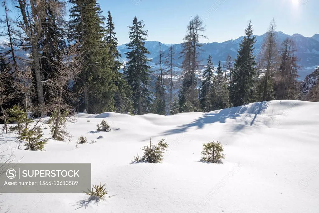 Hoher Nock mountain area in Limestone Alps National Park in Winter, Upper Austria, Austria